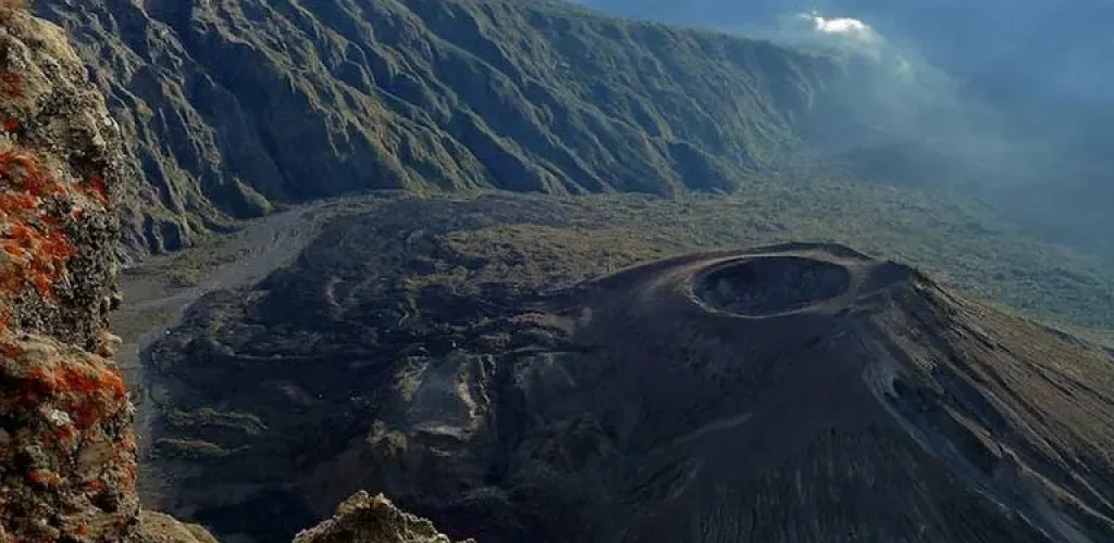 Kimbochi Safari - Trekking